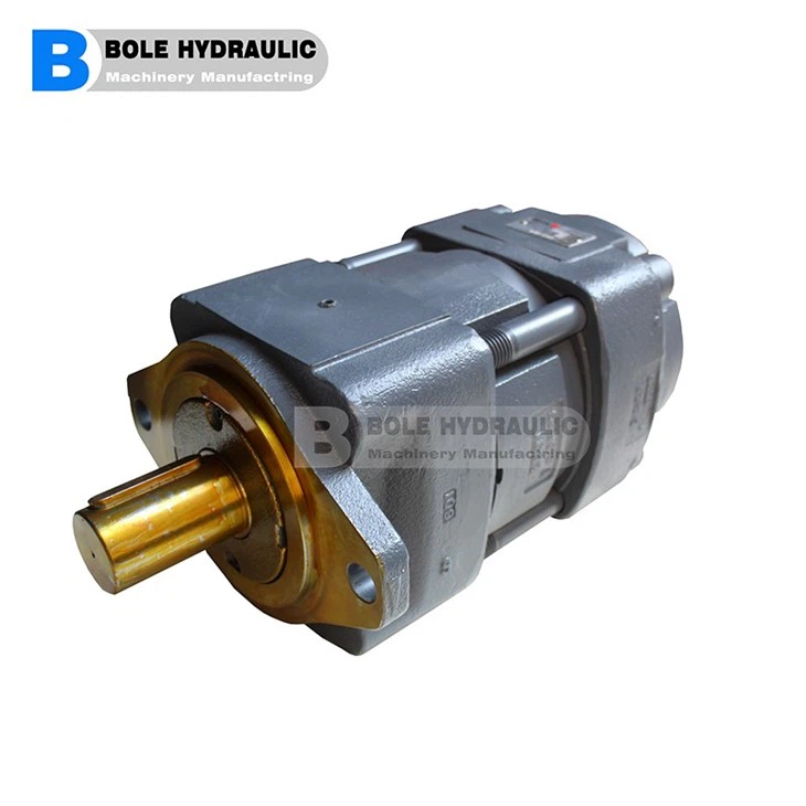 Gear Pump 020L-BI-3H